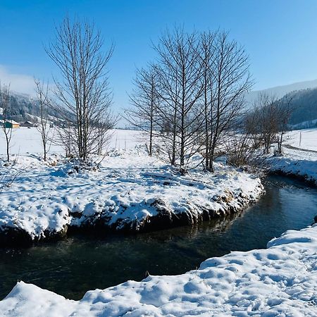 Ferienwohnung Sonneck Oberstaufen Dış mekan fotoğraf