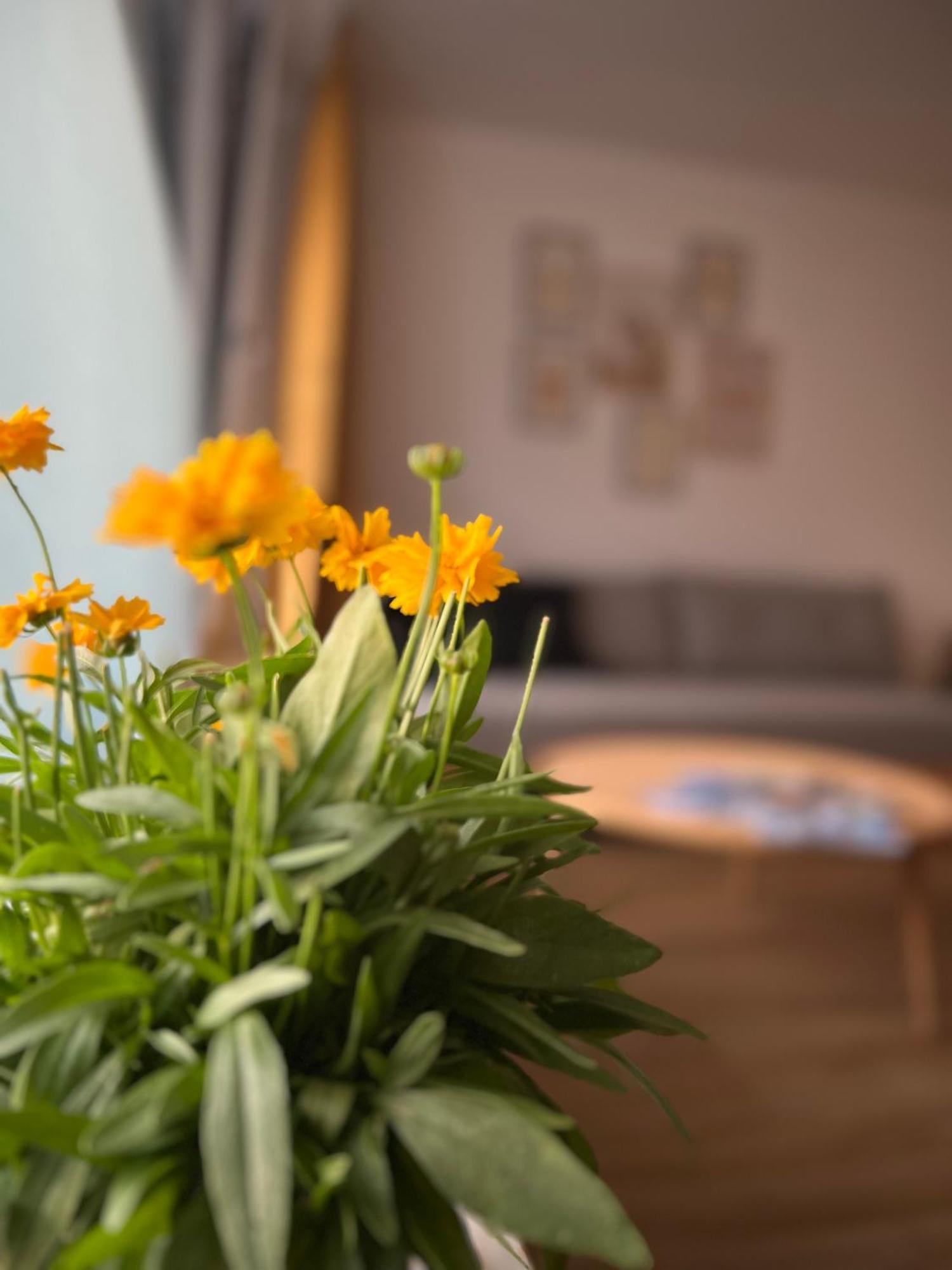Ferienwohnung Sonneck Oberstaufen Dış mekan fotoğraf